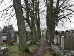 Hřbitovní alej