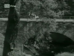 Most v lese