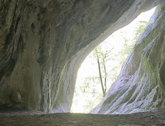 vlčice v jeskyni