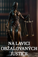 Na lavici obžalovaných justice