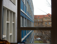 Okno fakulty