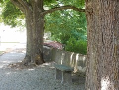 v klášterní zahradě