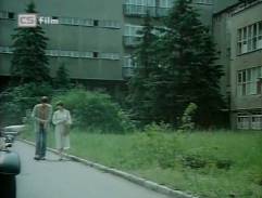 Láska na druhý pohled (1981)