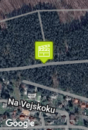 V lesíku